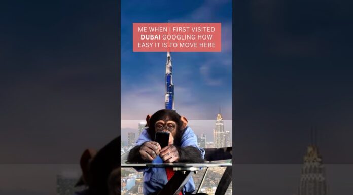 Habibi come to Dubai #dubai #dubailove #dubailife #dubailifestyle