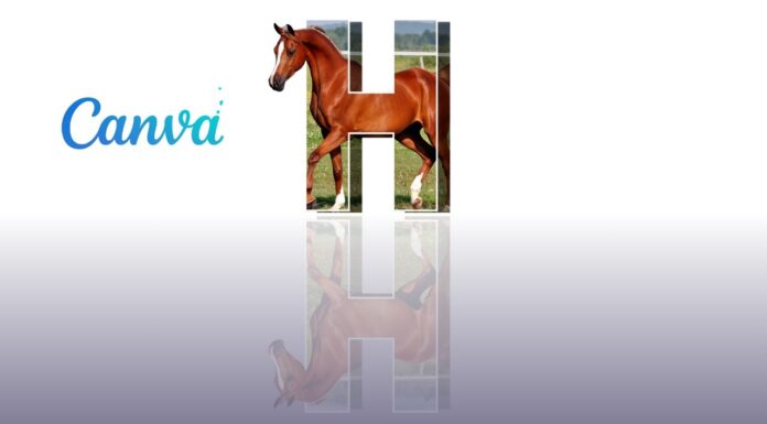 3D Show effect of Horse with Canva